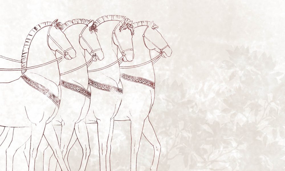 Romani Equi contemporary wallpaper